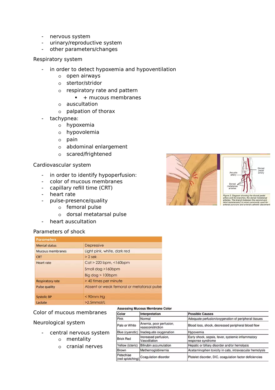 Veterinary Review Questions Part 1 - Page 2
