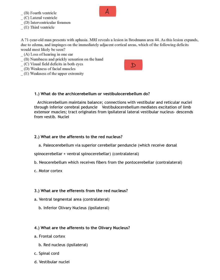 Which of the Following Cranial Nerve Mediates the Corneal Reflex - Page 3