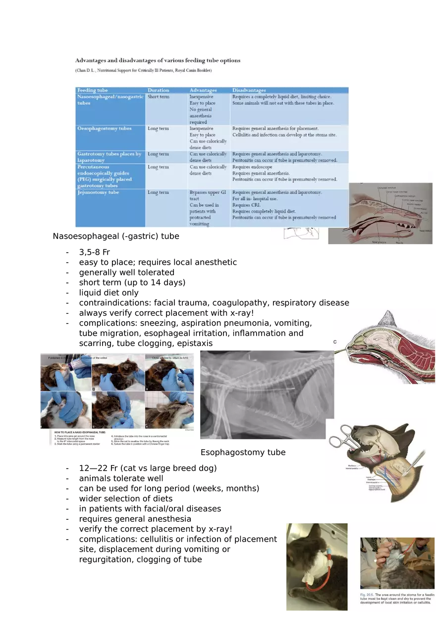 Veterinary Review Questions Part 2 - Page 2