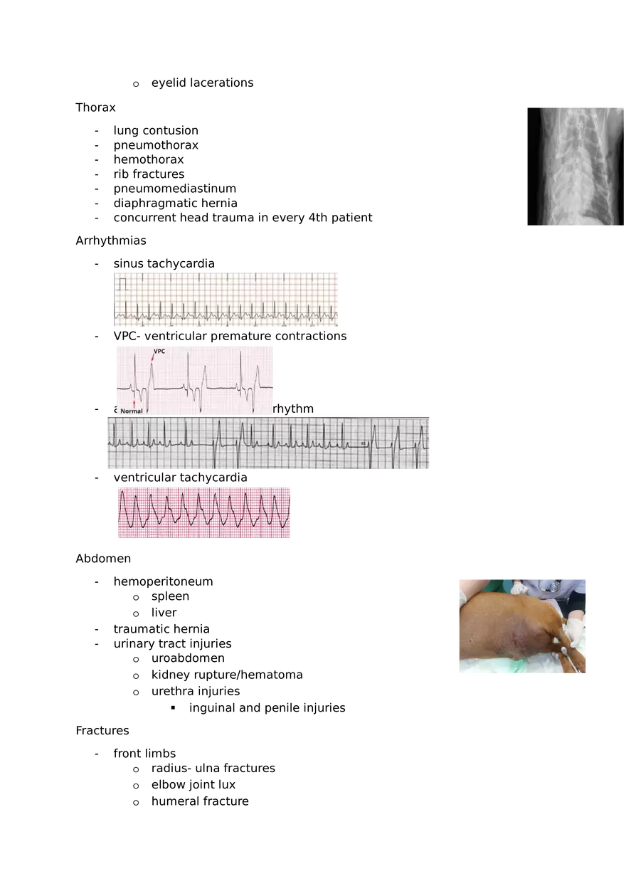 Veterinary Review Questions Part 2 - Page 3