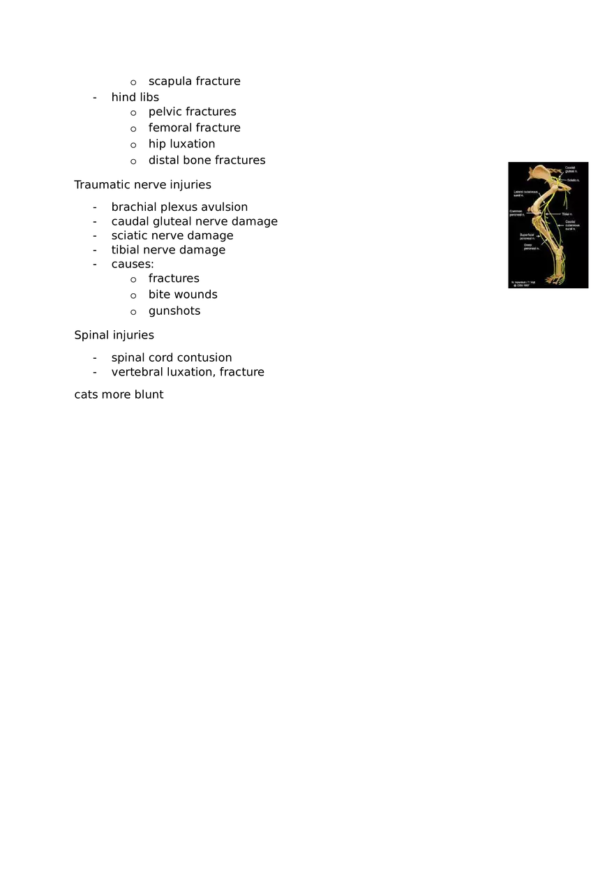 Veterinary Review Questions Part 2 - Page 4