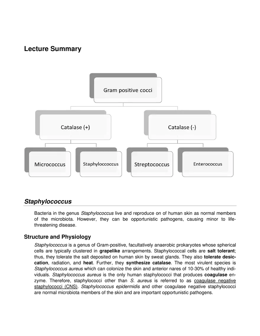 Pathogenic Gram-Positive Bacteria - Page 2