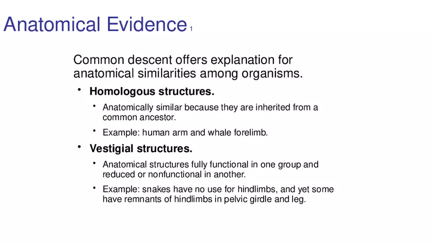 Lab 10 - Evolution - Page 11