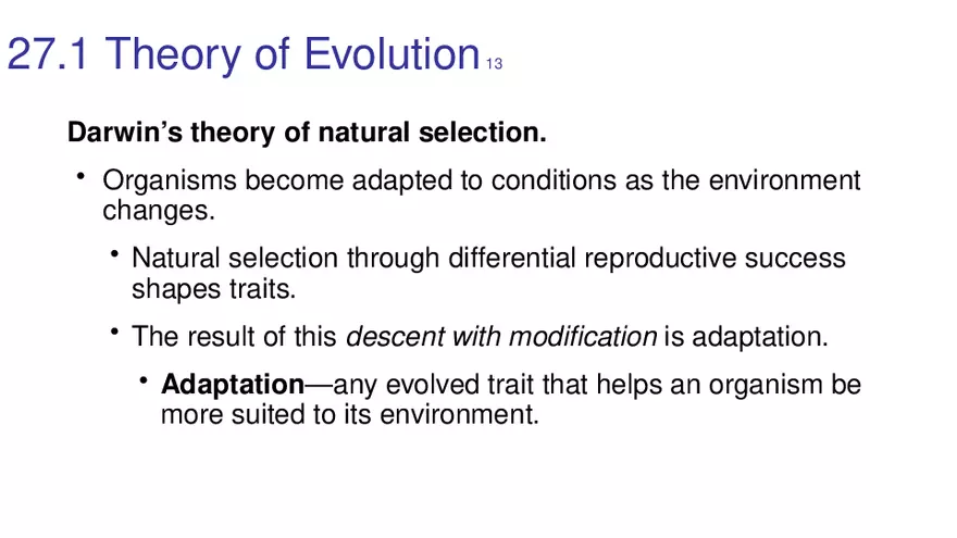 Lab 10 - Evolution - Page 13
