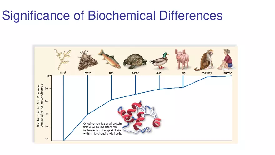 Lab 10 - Evolution - Page 17