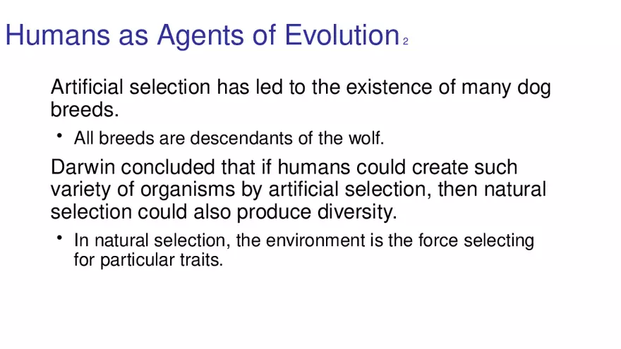 Lab 10 - Evolution - Page 19