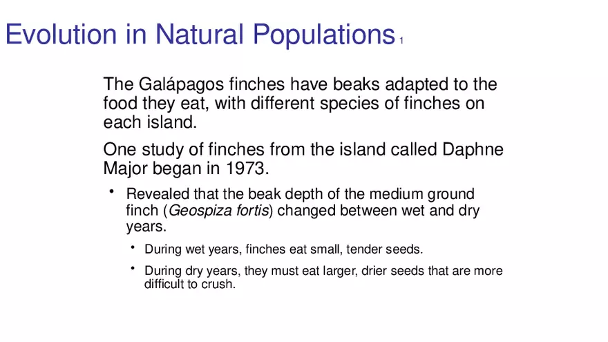 Lab 10 - Evolution - Page 21