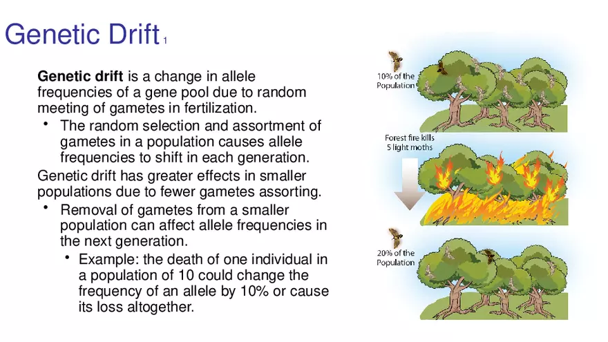 Lab 10 - Evolution - Page 34