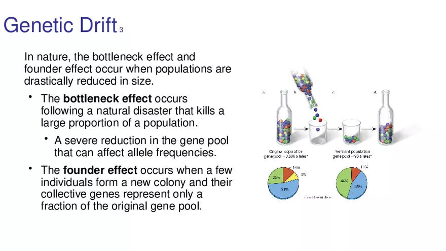 Lab 10 - Evolution - Page 36