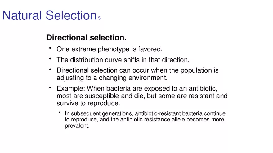 Lab 10 - Evolution - Page 43
