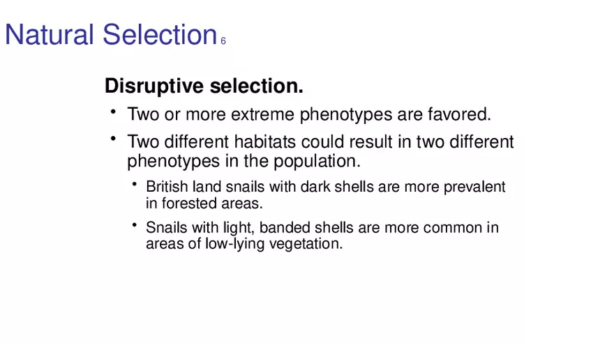 Lab 10 - Evolution - Page 45