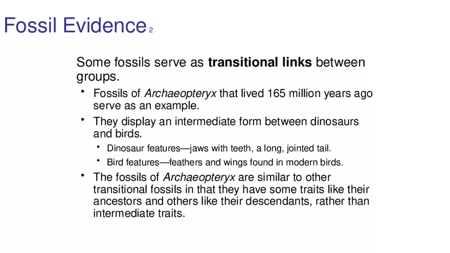 Lab 10 - Evolution - Page 46