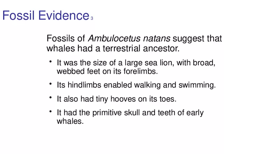 Lab 10 - Evolution - Page 52