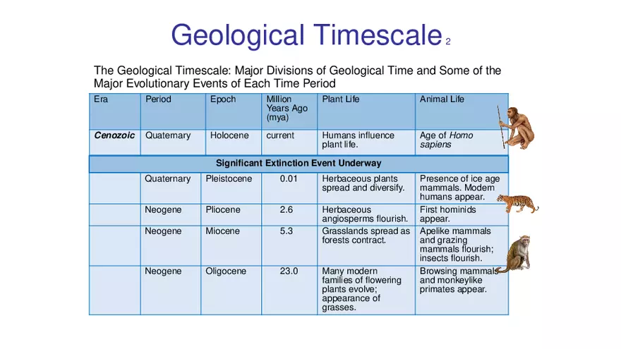 Lab 10 - Evolution - Page 3