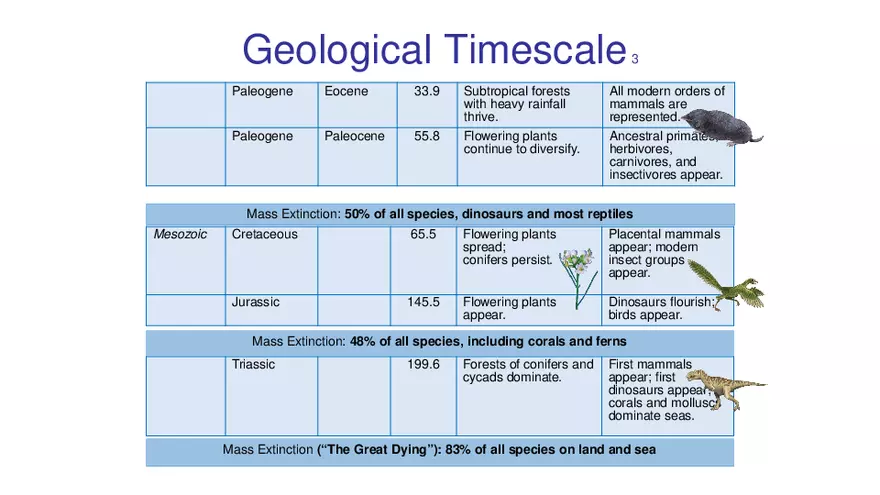 Lab 10 - Evolution - Page 4