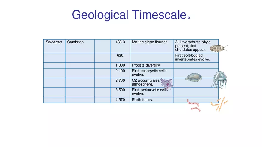 Lab 10 - Evolution - Page 6