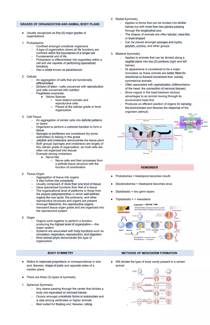 Grades of Organizationa and Animal Body Plans - Page 1