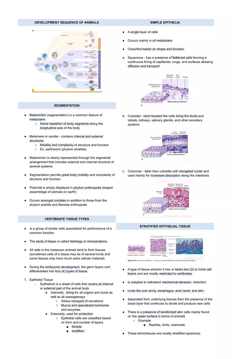 Grades of Organizationa and Animal Body Plans - Page 2