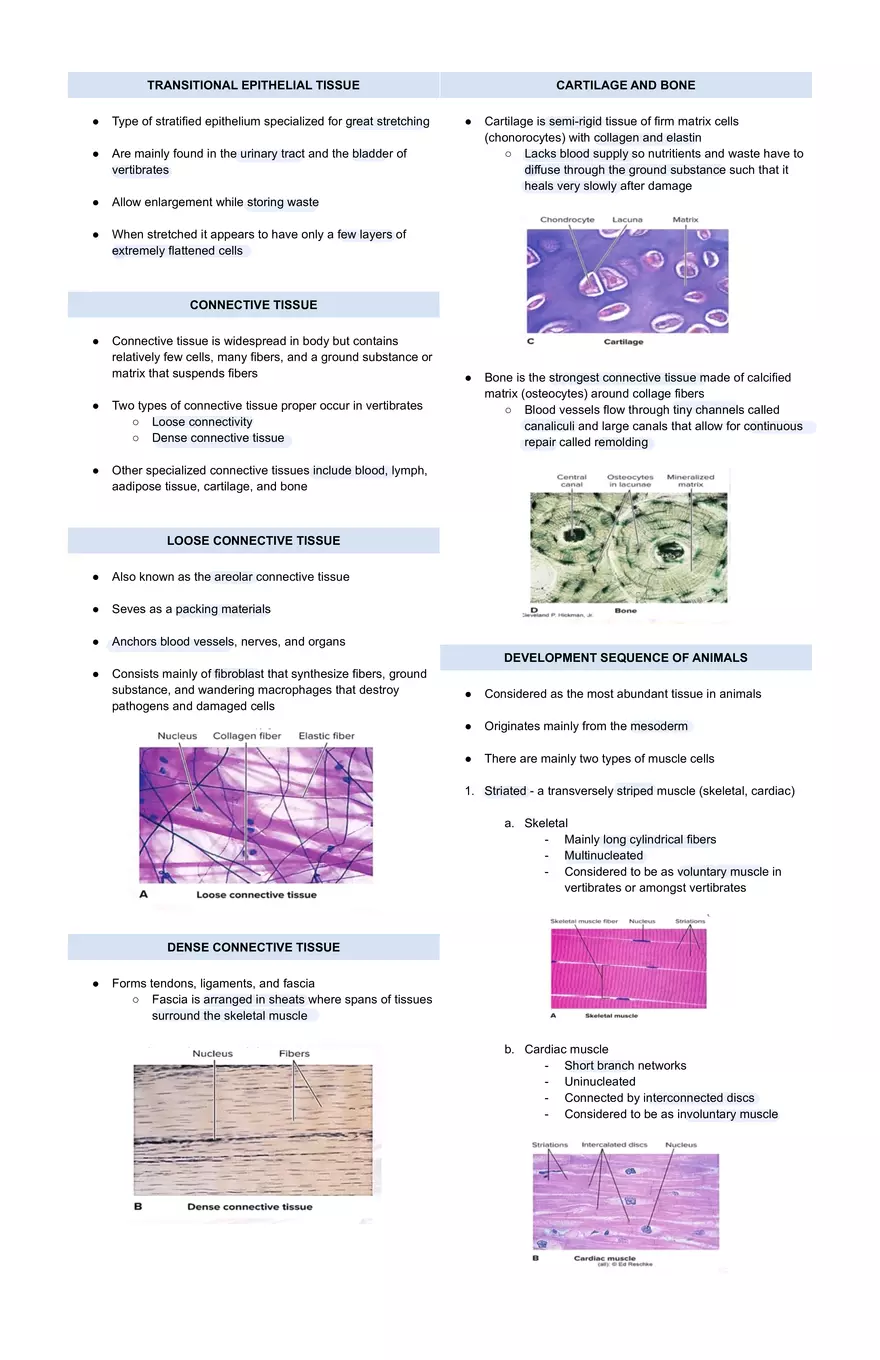 Grades of Organizationa and Animal Body Plans - Page 3