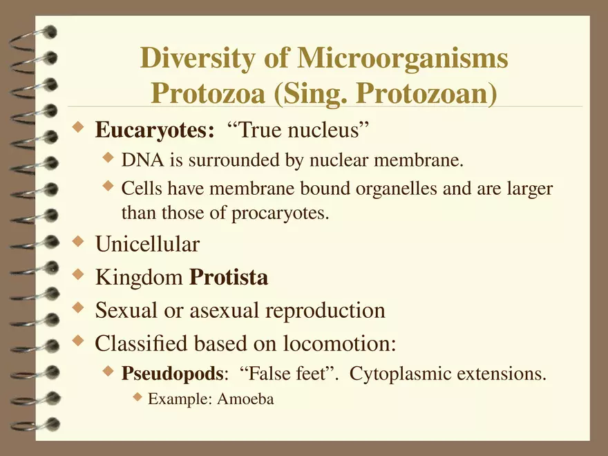 Diversity of Microorganisms Protozoa - Page 1