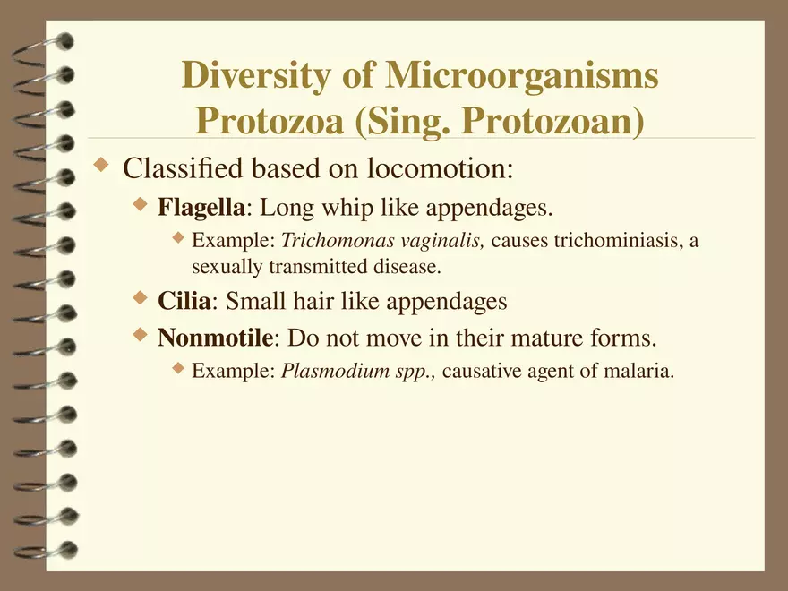 Diversity of Microorganisms Protozoa - Page 2