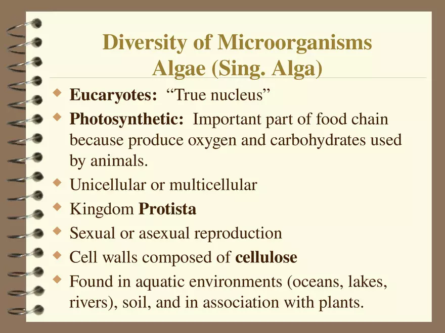 Diversity of Microorganisms Protozoa - Page 4