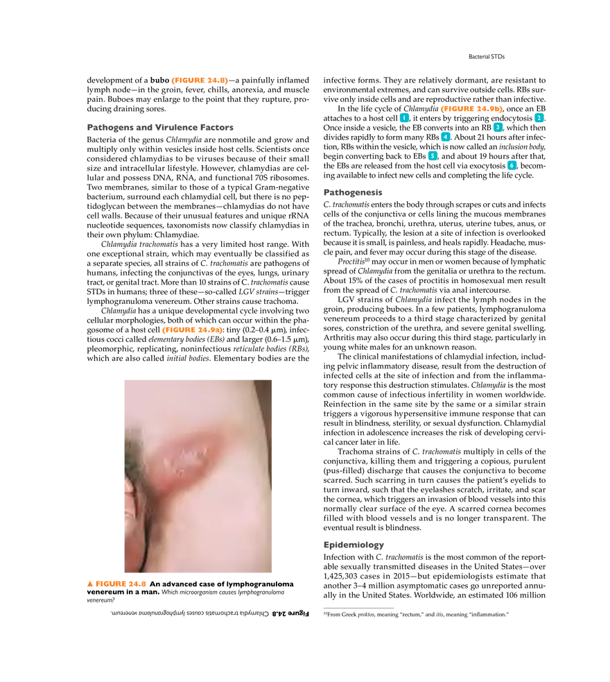 Microbial Diseases of the Urinary and Reproductive Systems - Page 10