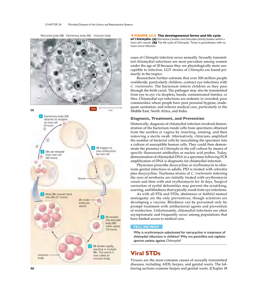 Microbial Diseases of the Urinary and Reproductive Systems - Page 11