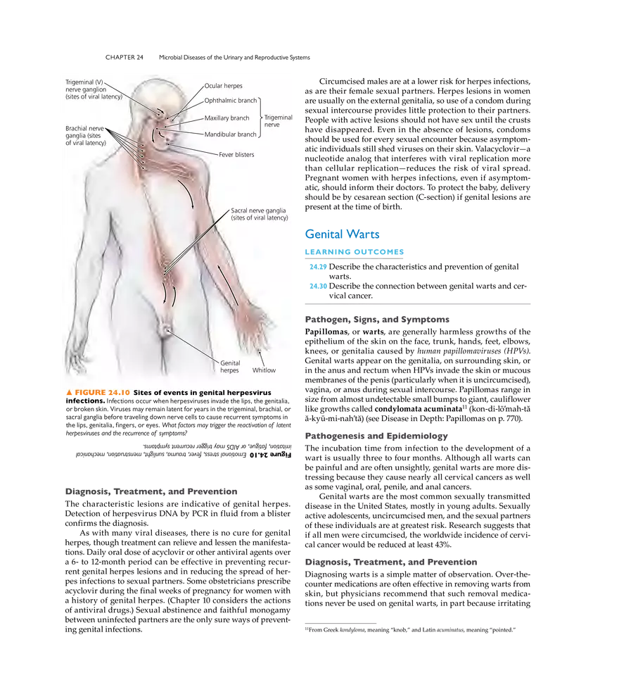 Microbial Diseases of the Urinary and Reproductive Systems - Page 14
