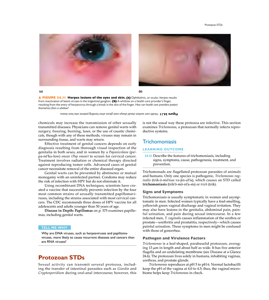 Microbial Diseases of the Urinary and Reproductive Systems - Page 15