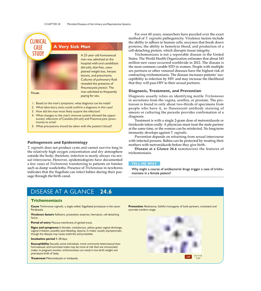 Microbial Diseases of the Urinary and Reproductive Systems - Page 16