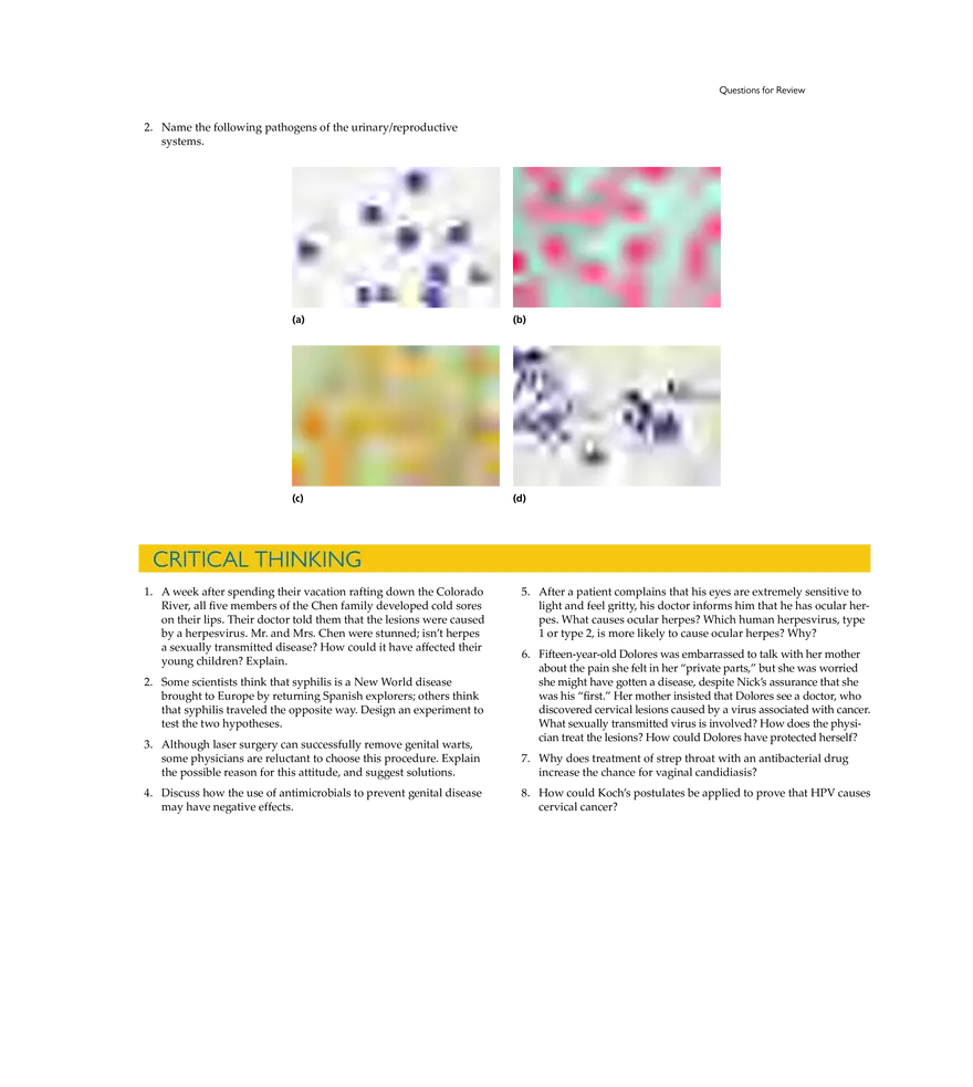 Microbial Diseases of the Urinary and Reproductive Systems - Page 21