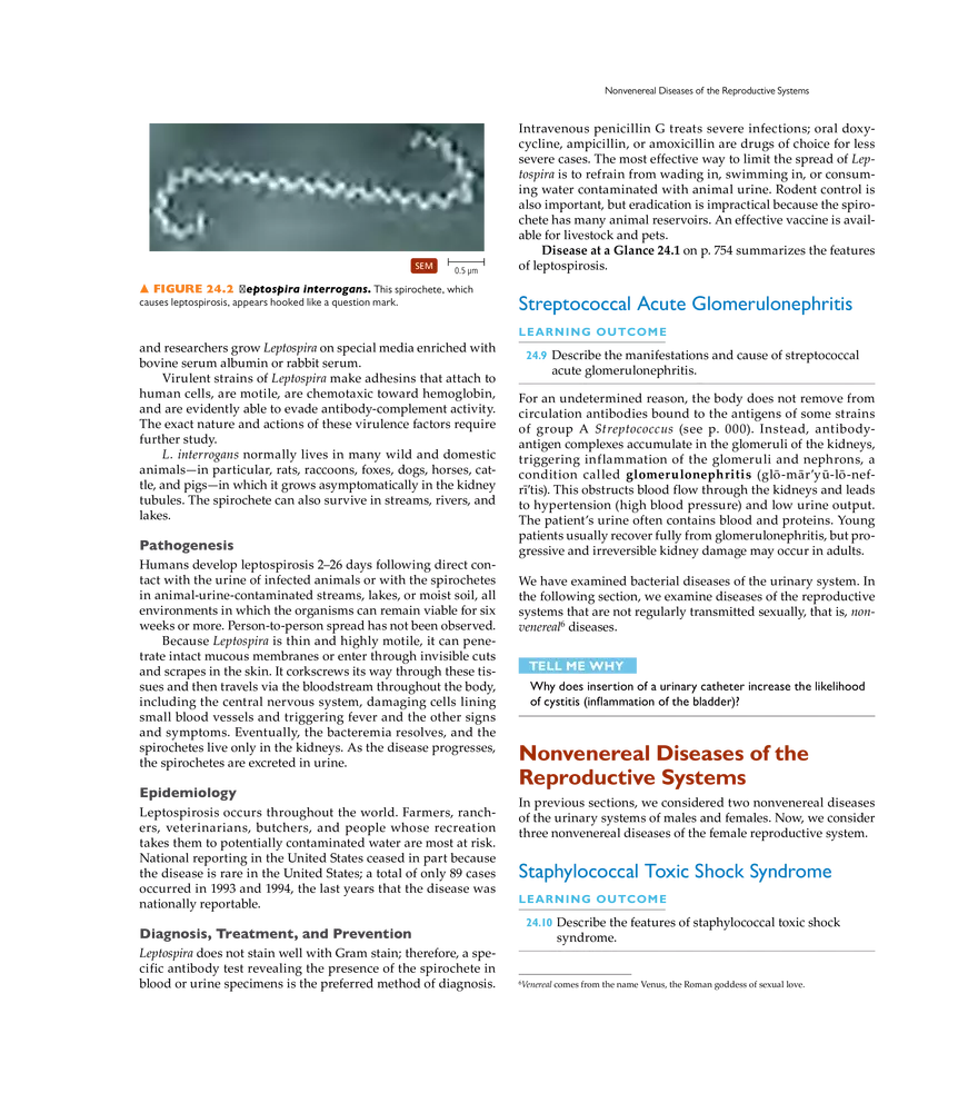 Microbial Diseases of the Urinary and Reproductive Systems - Page 23