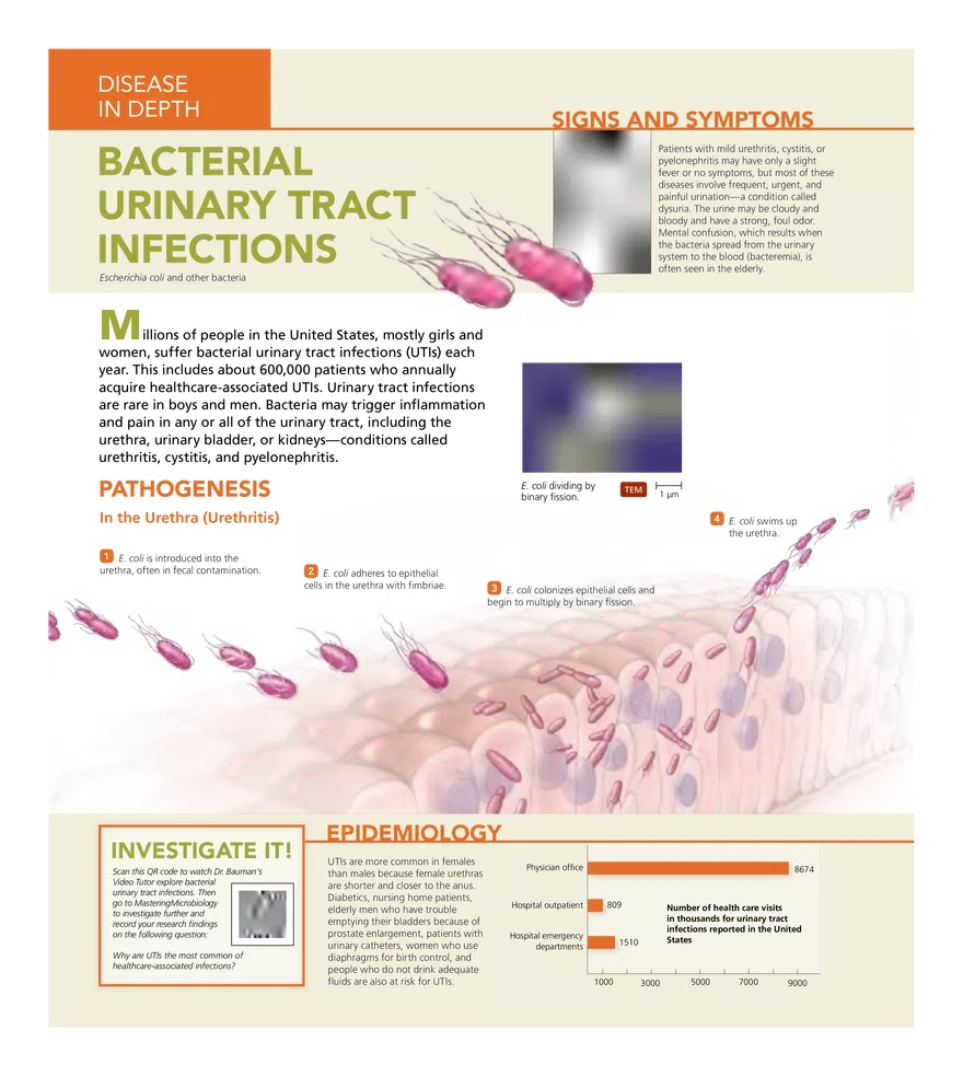 Microbial Diseases of the Urinary and Reproductive Systems - Page 24