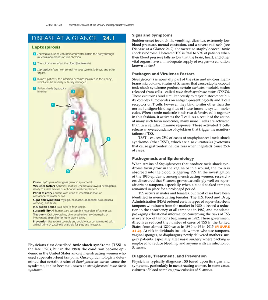 Microbial Diseases of the Urinary and Reproductive Systems - Page 26