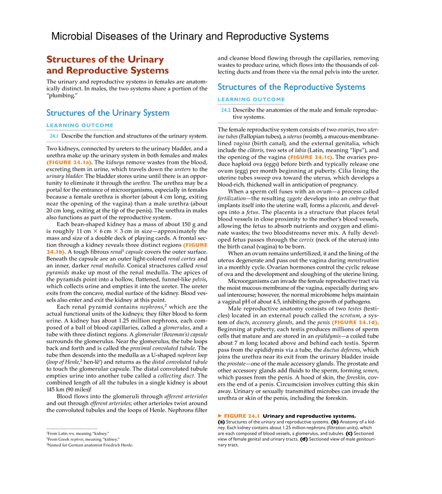 Microbial Diseases of the Urinary and Reproductive Systems - Page 1
