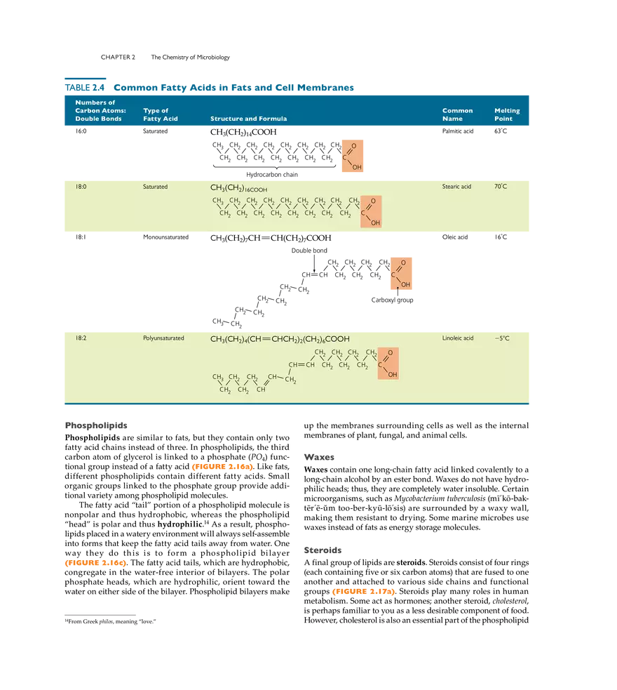 The Chemistry of Microbiology - Page 7
