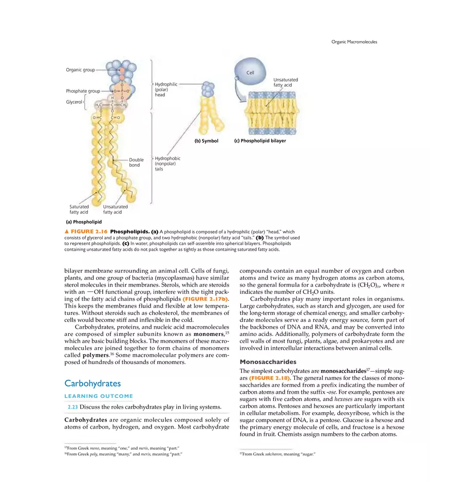 The Chemistry of Microbiology - Page 8