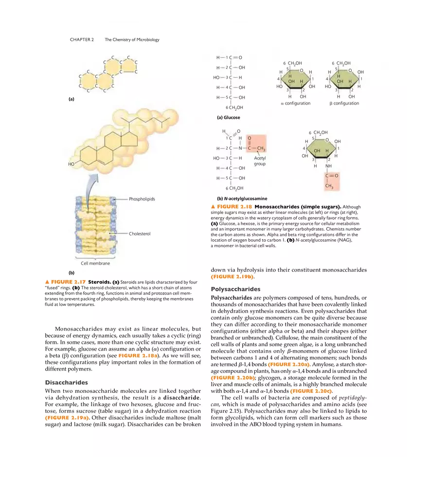 The Chemistry of Microbiology - Page 9