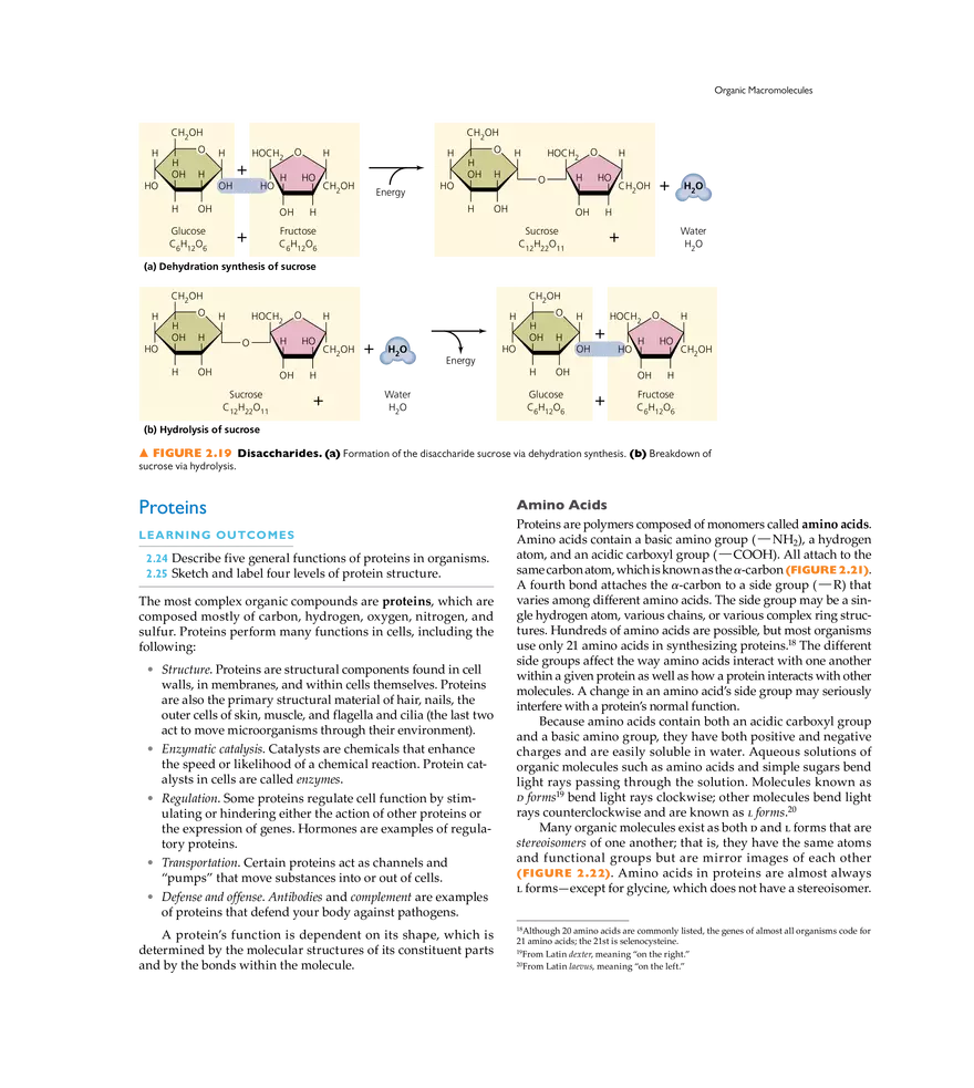 The Chemistry of Microbiology - Page 10
