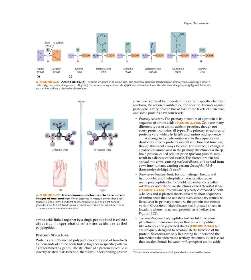 The Chemistry of Microbiology - Page 12