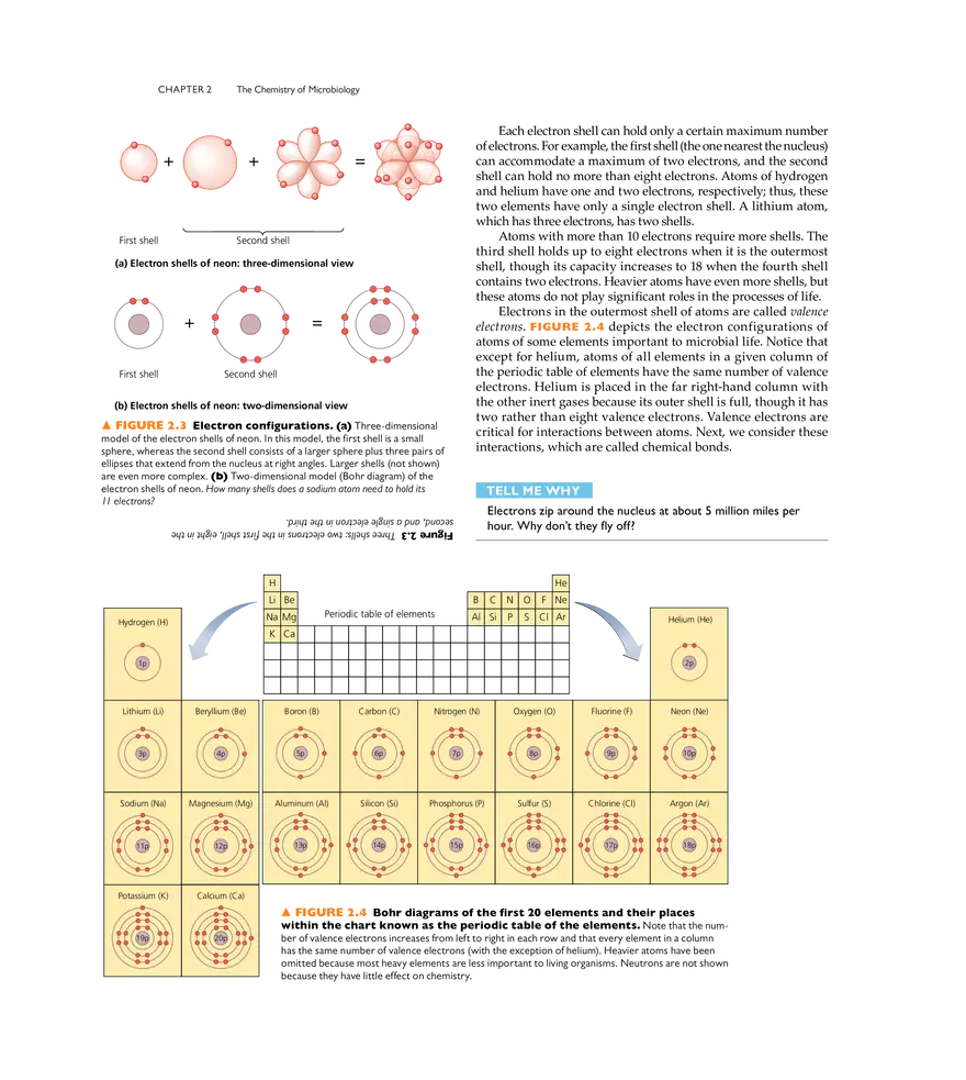 The Chemistry of Microbiology - Page 13