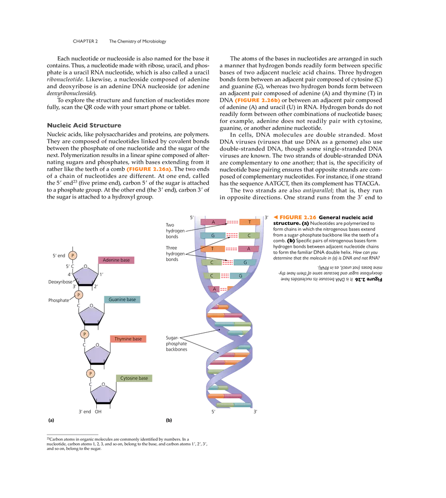 The Chemistry of Microbiology - Page 16