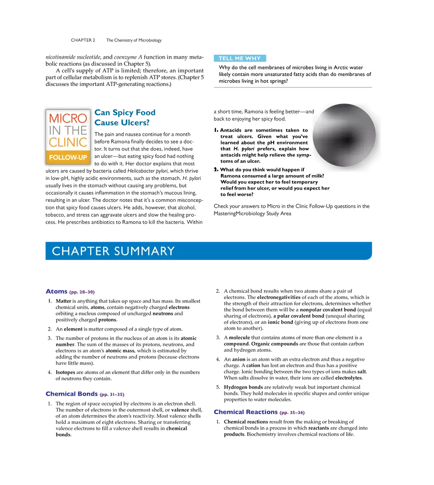The Chemistry of Microbiology - Page 18