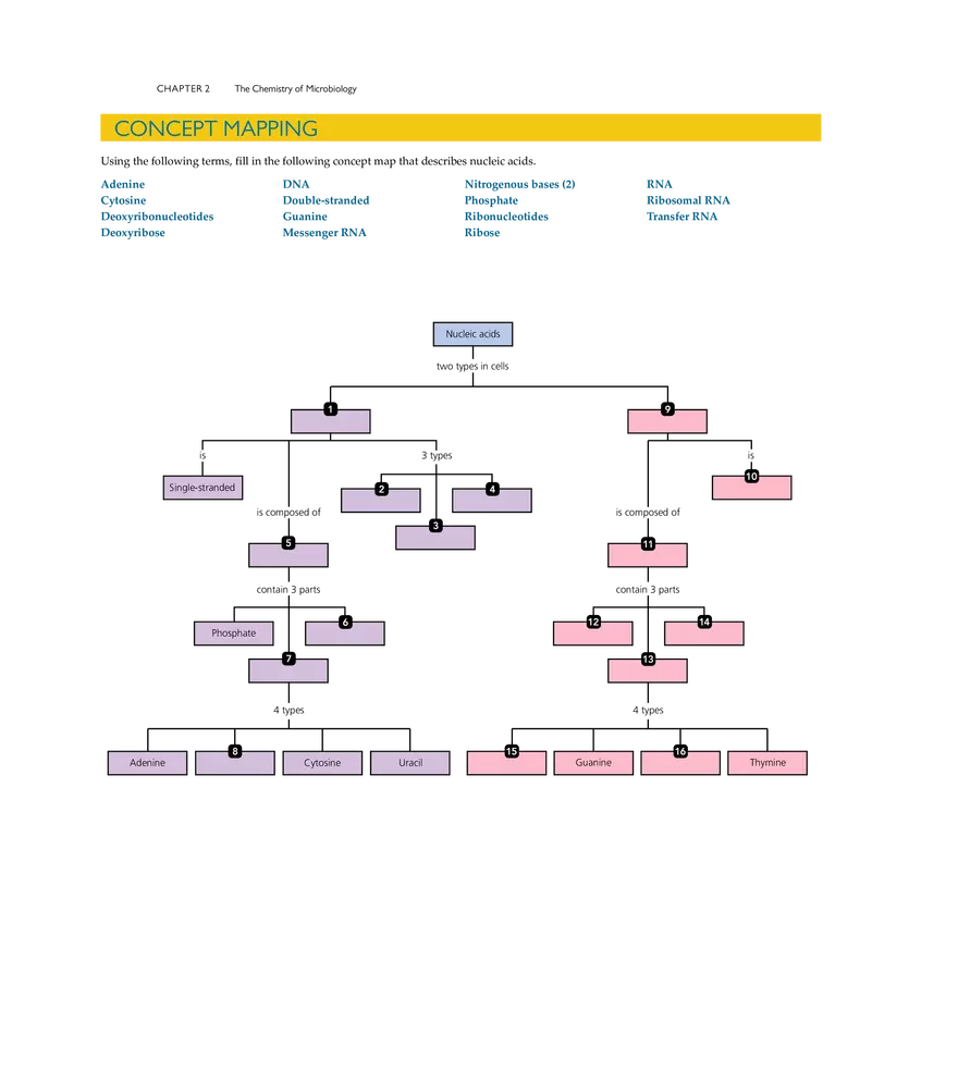 The Chemistry of Microbiology - Page 22