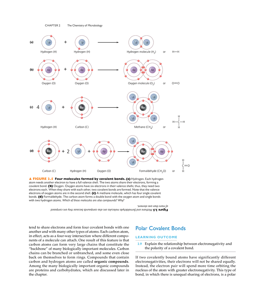 The Chemistry of Microbiology - Page 24