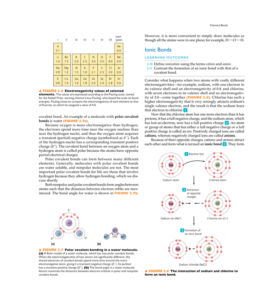 The Chemistry of Microbiology - Page 25