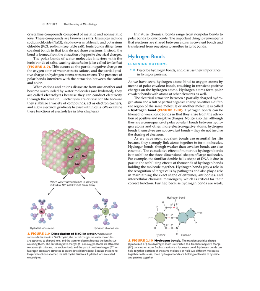 The Chemistry of Microbiology - Page 26