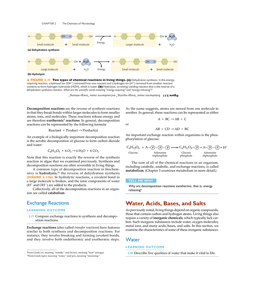 The Chemistry of Microbiology - Page 28