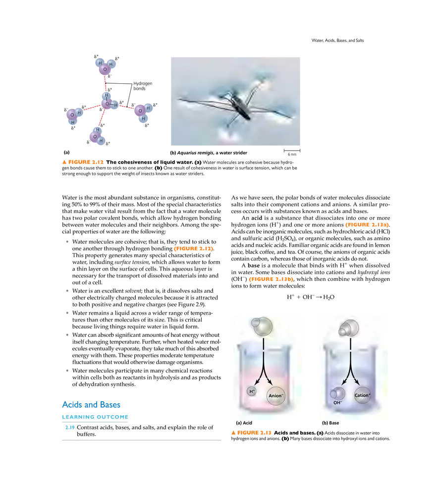 The Chemistry of Microbiology - Page 29